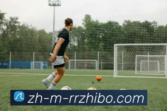 App Interface Preview